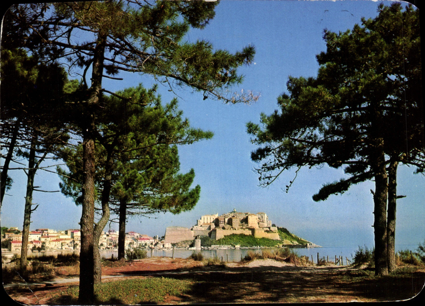 CPM Panorama De La Corse Calvi La Cicadelle Et Le Ville Basse Depuis La