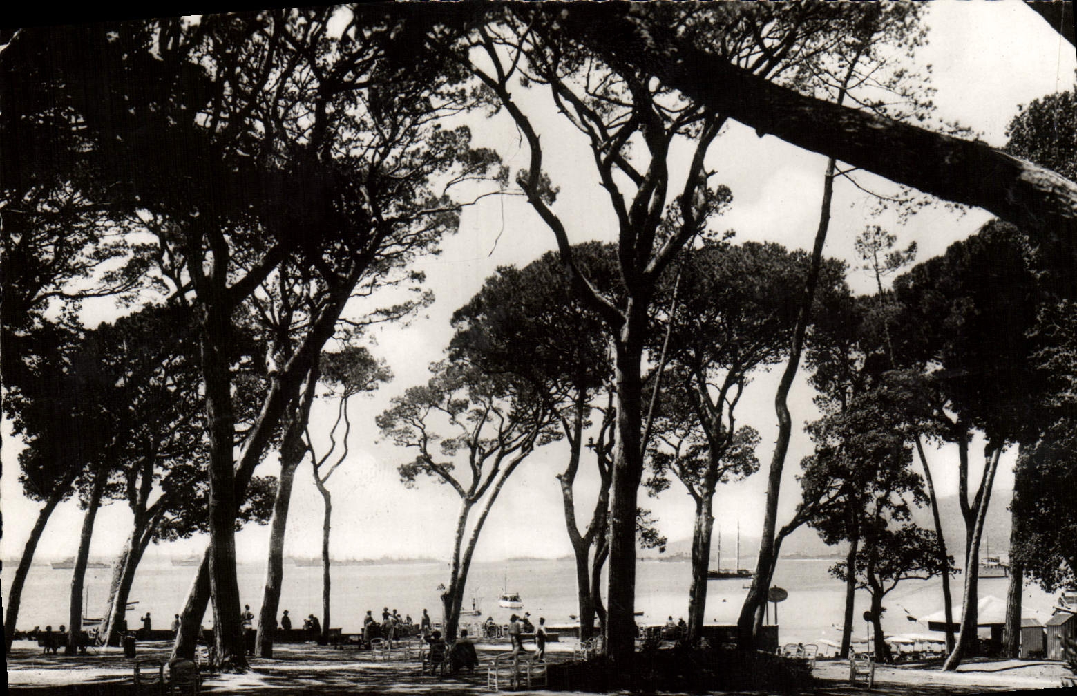 MODERN CARD Juan Pines Pincede And Escadro