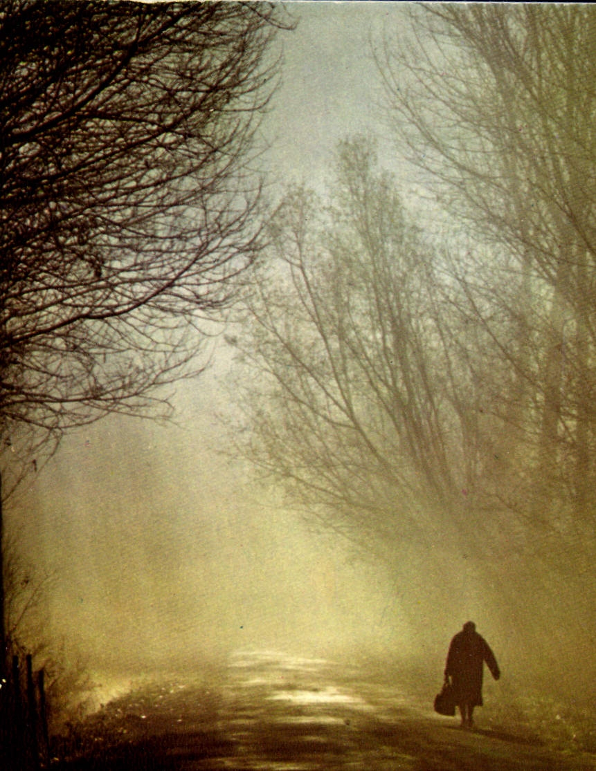 MODERN CARD Ways Of the Life