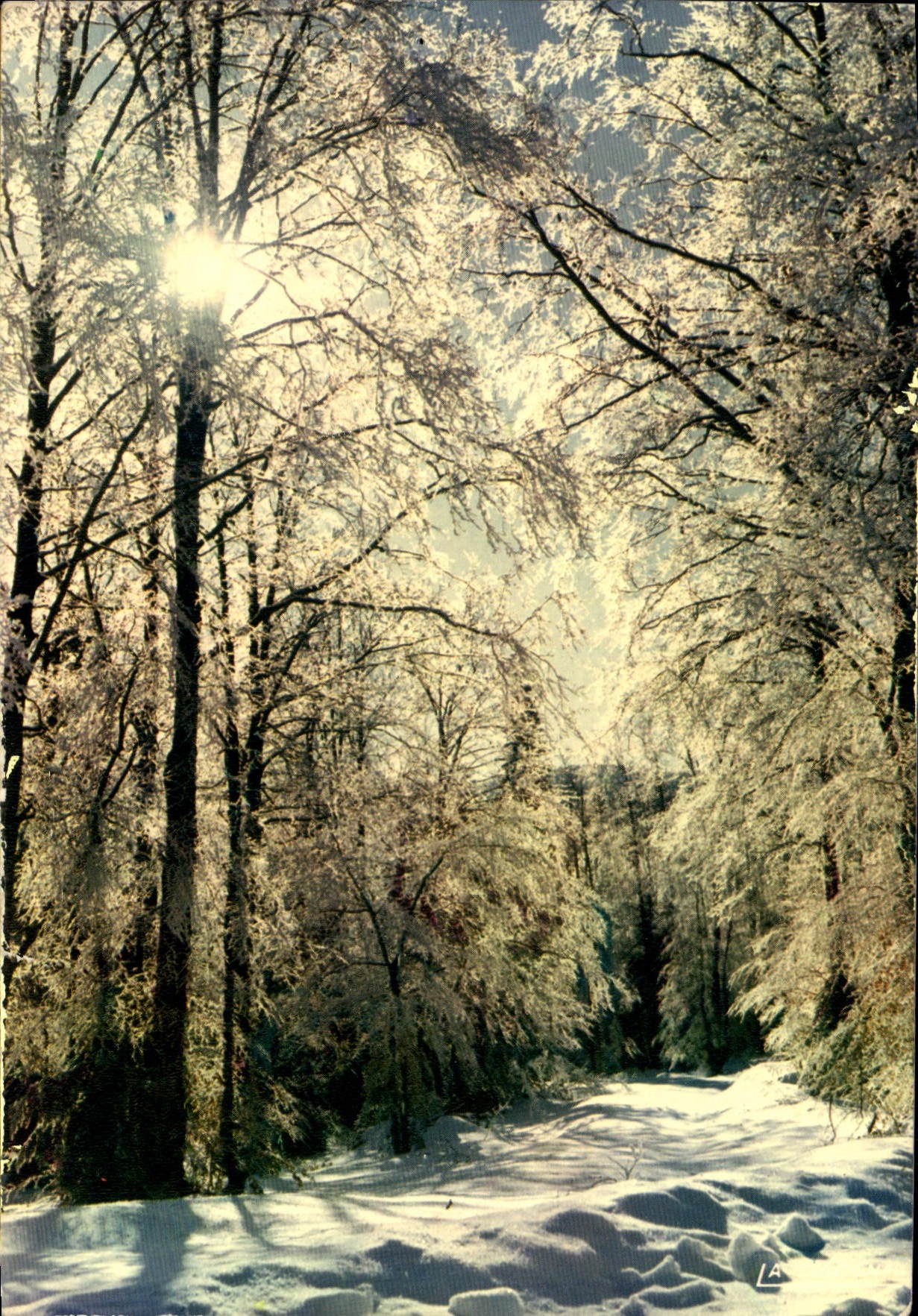 CPM L'Hiver En Dentelles