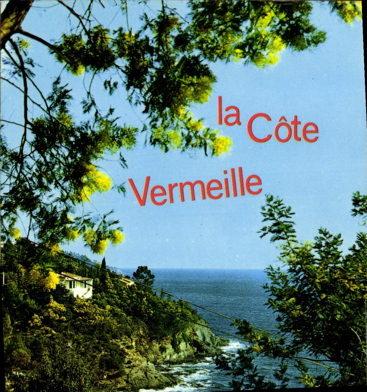 CPM La Cote Vermeille