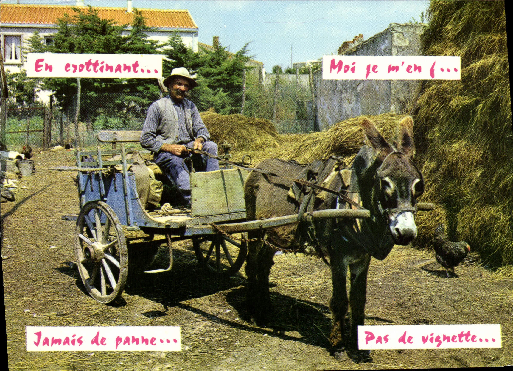 POSTAL MODERNA folklore del coche del asno