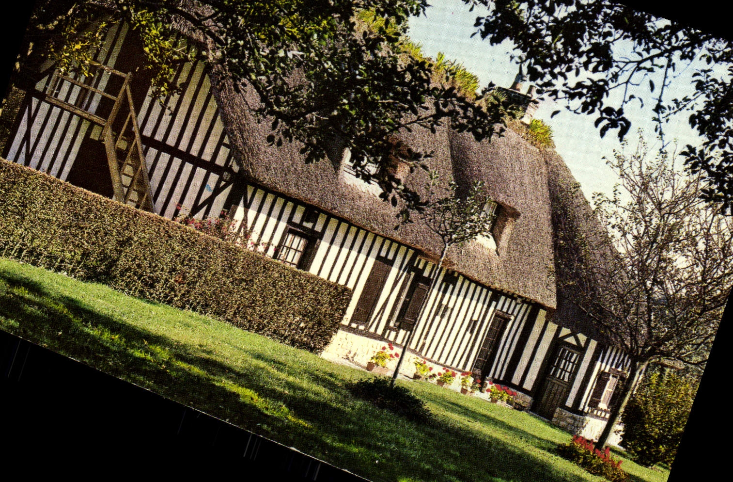 MODERN CARD Picturesque Normandy Thatched cottage