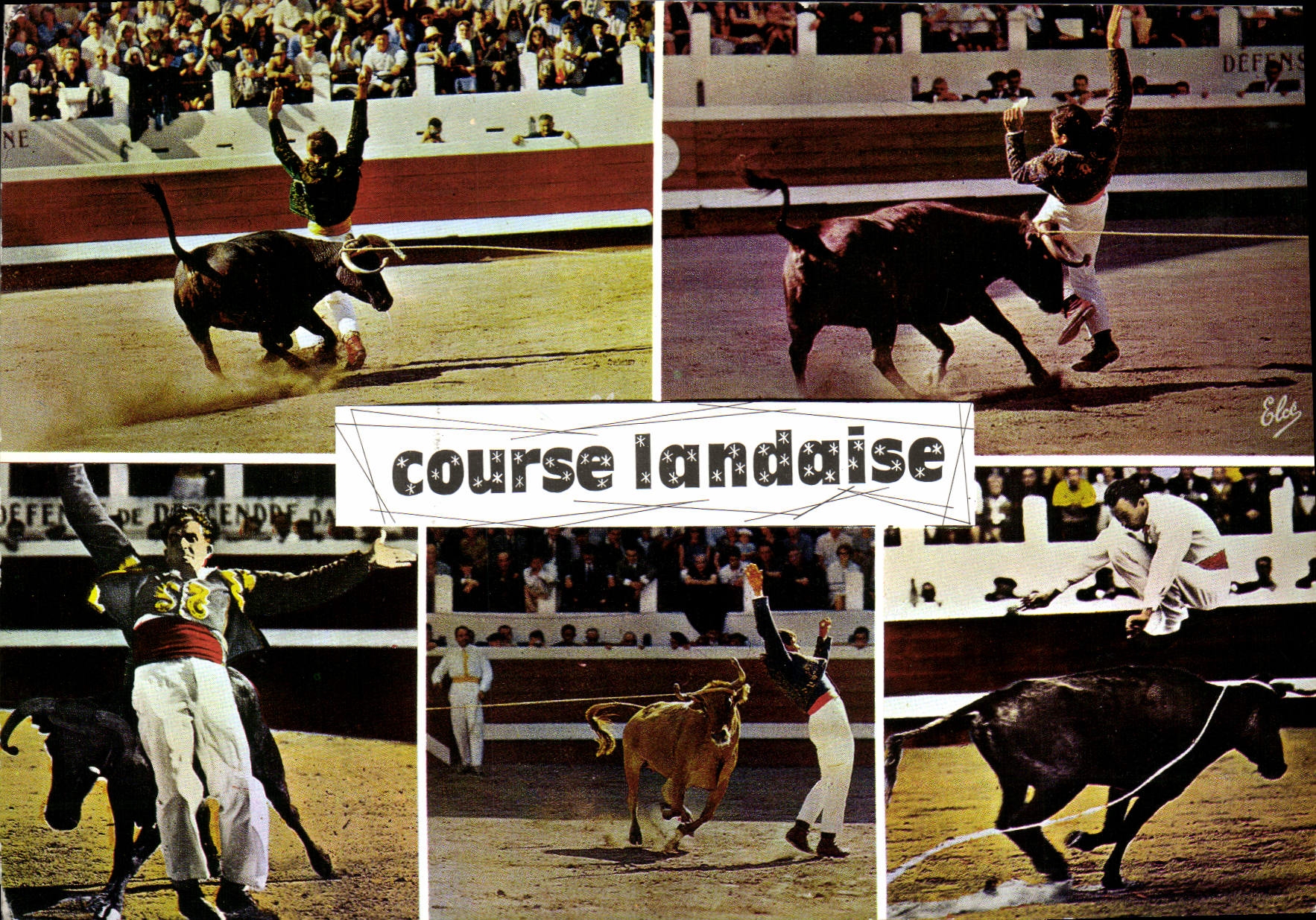 MODERN CARD Race Landaise De Gauche Bullfight Bull