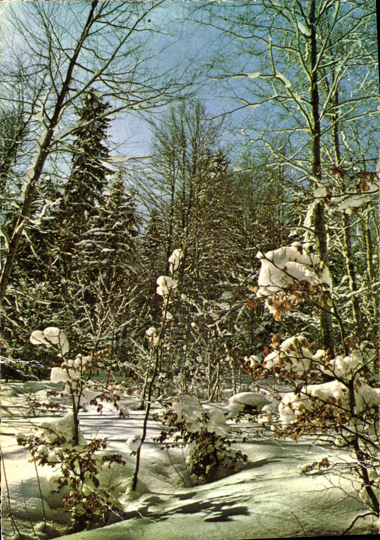 MODERN CARD Morzine Drill under Snow