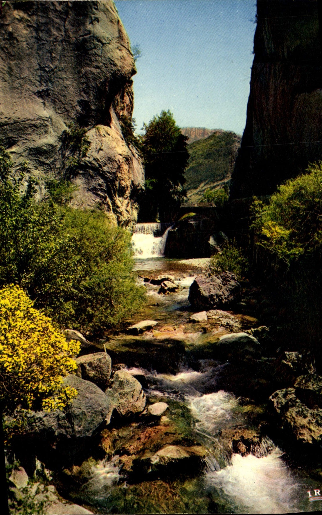 MODERN CARD Torrent in the throats