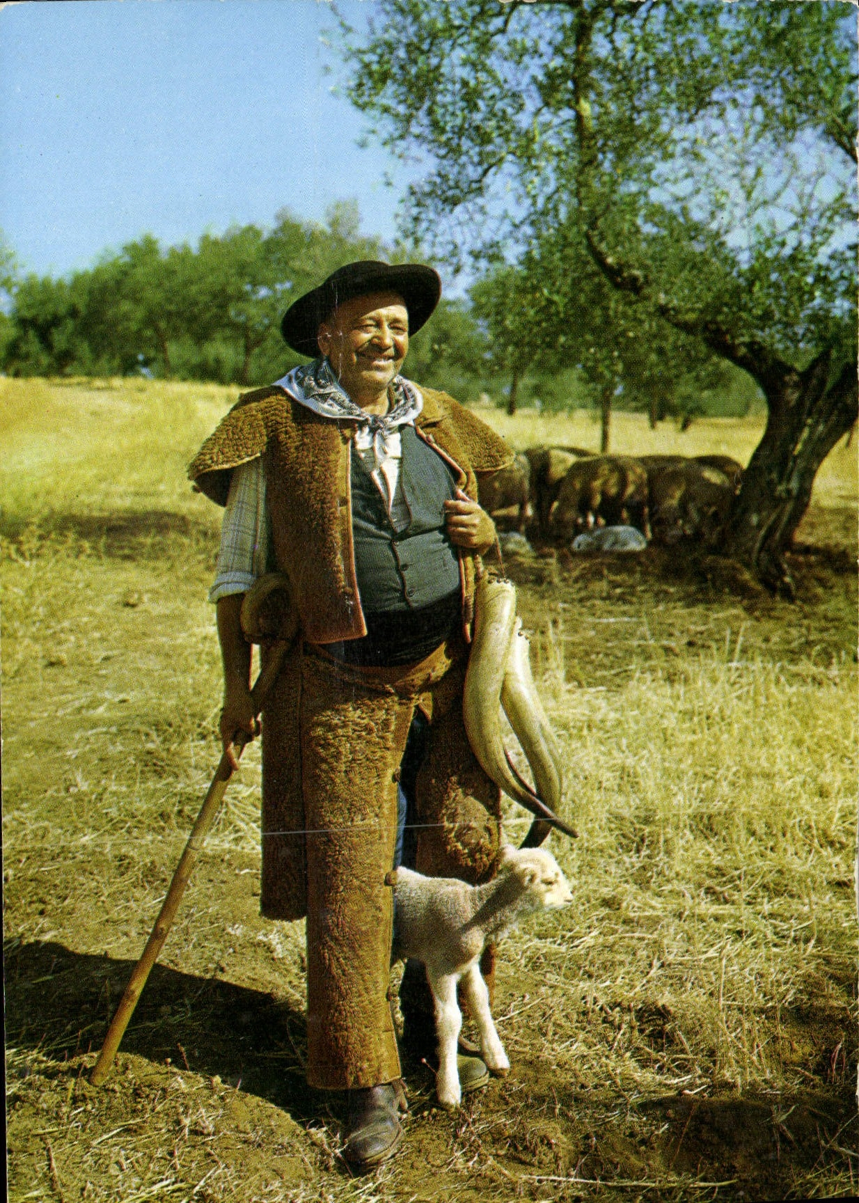 MODERN CARD Alentejo Pastor Folklore