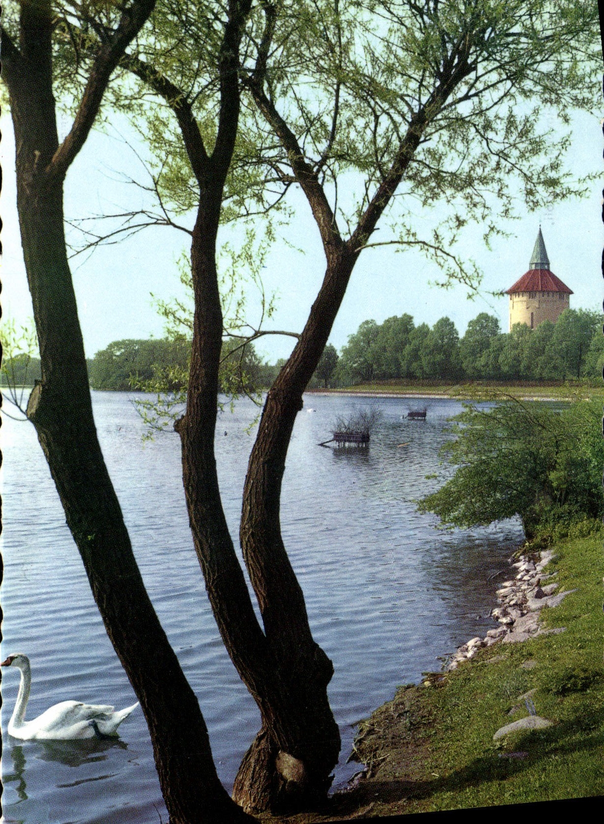 MODERN CARD Malmo Pildammarna Swan