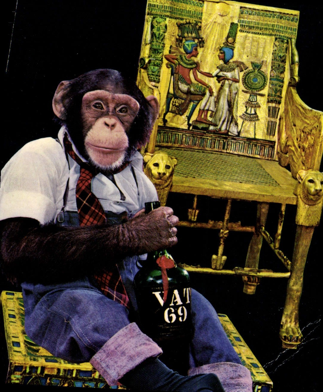 CPM Singe