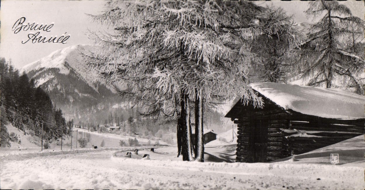 CPM Bonne Annee Chalet
