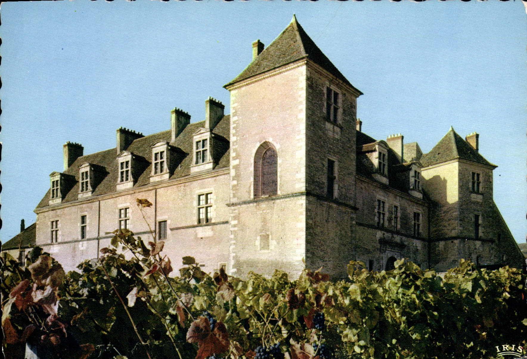 CPM Chateau de Glos de Vougeot 