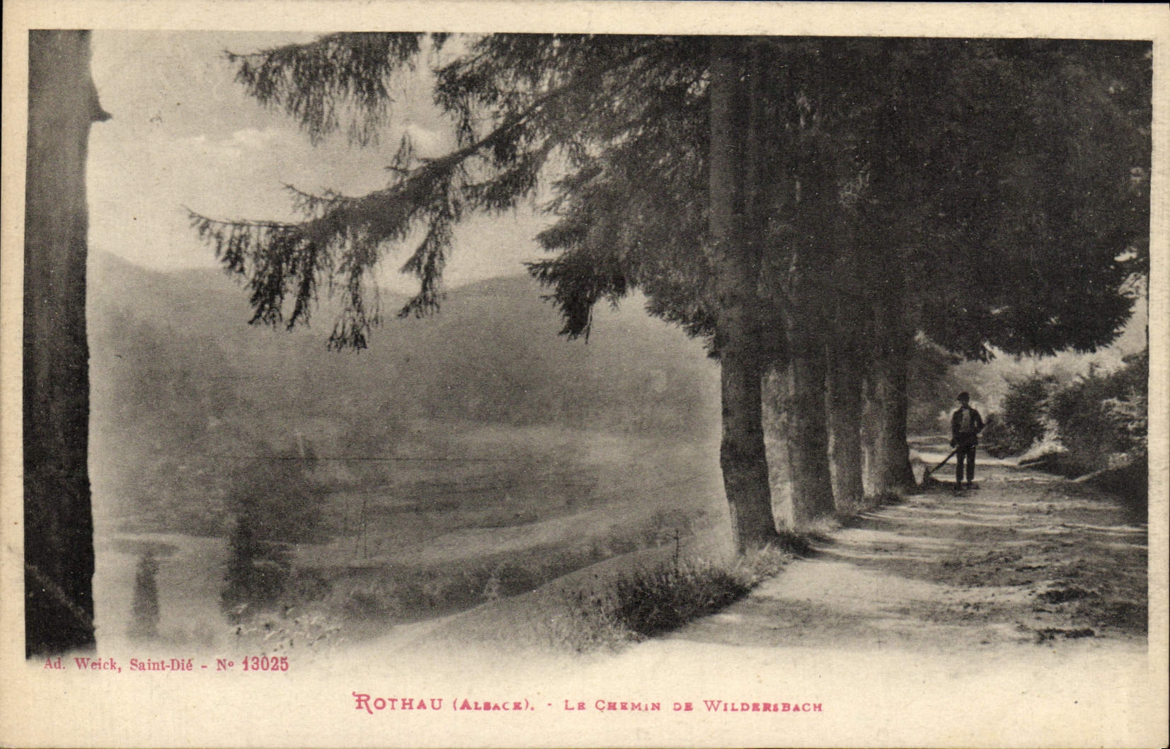 VINTAGE POSTCARD Rothau Chamin De Wildersbach