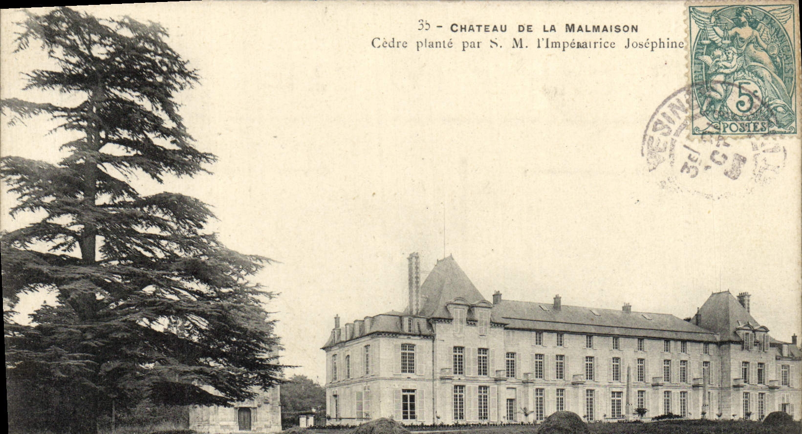 CPA Chateau de la Malmaison Cedre plante par SM l'imperatrice Josephine