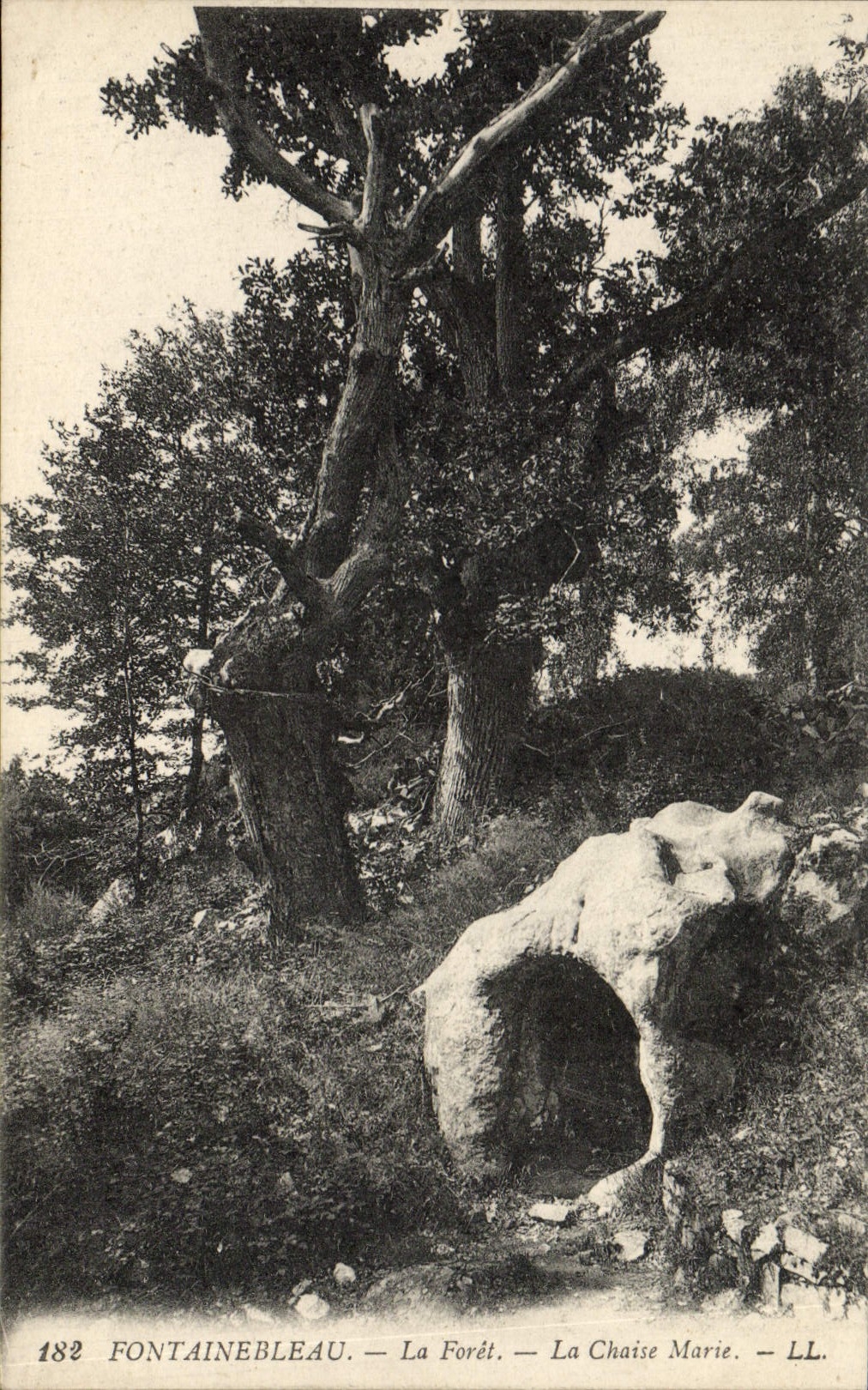 VINTAGE POSTCARD Fontainebleau the Drill the Marie Chair