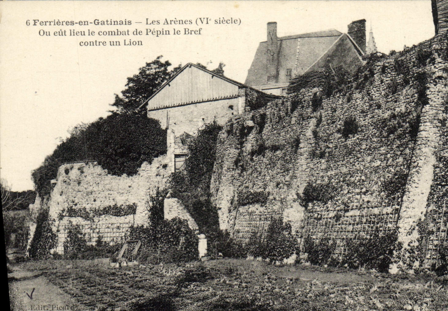 VINTAGE POSTCARD Tool bags in Gatinais the Arena Or had the Combat of Pip the Brief against a lion