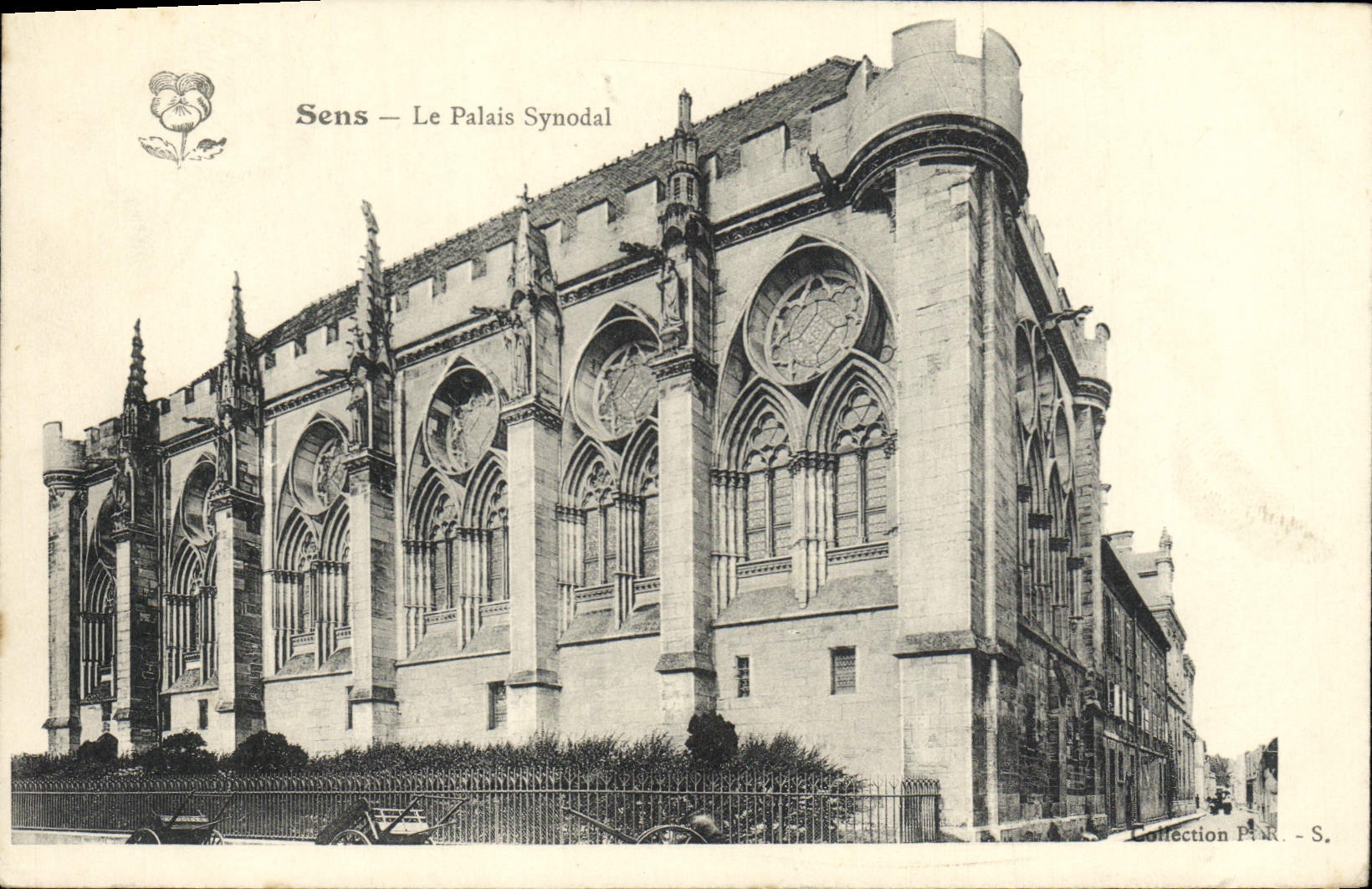 POSTAL de la VENDIMIA Sens el paladar del Synodal