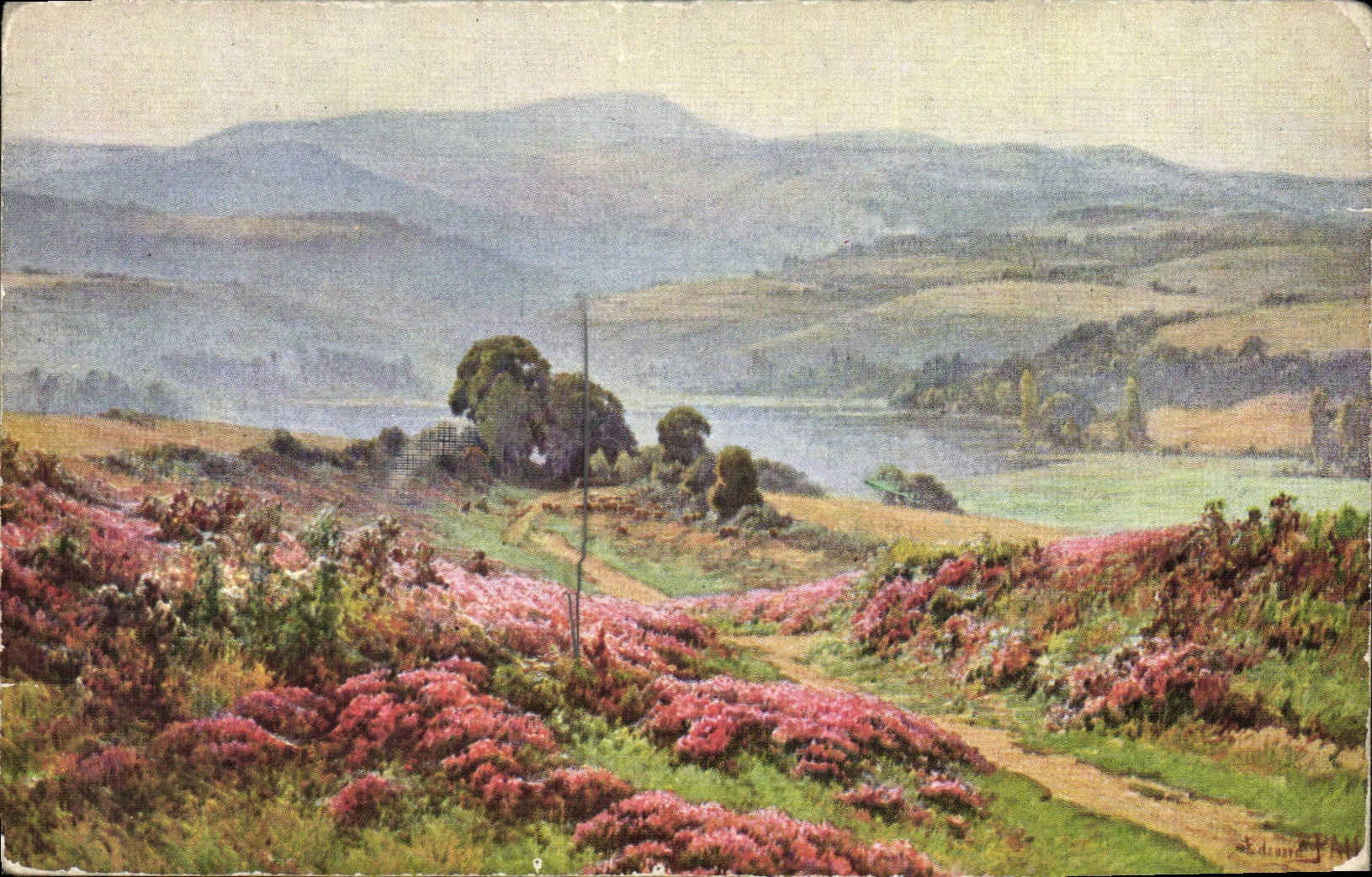 VINTAGE POSTCARD Edouard Pail Crossbred in Morvan