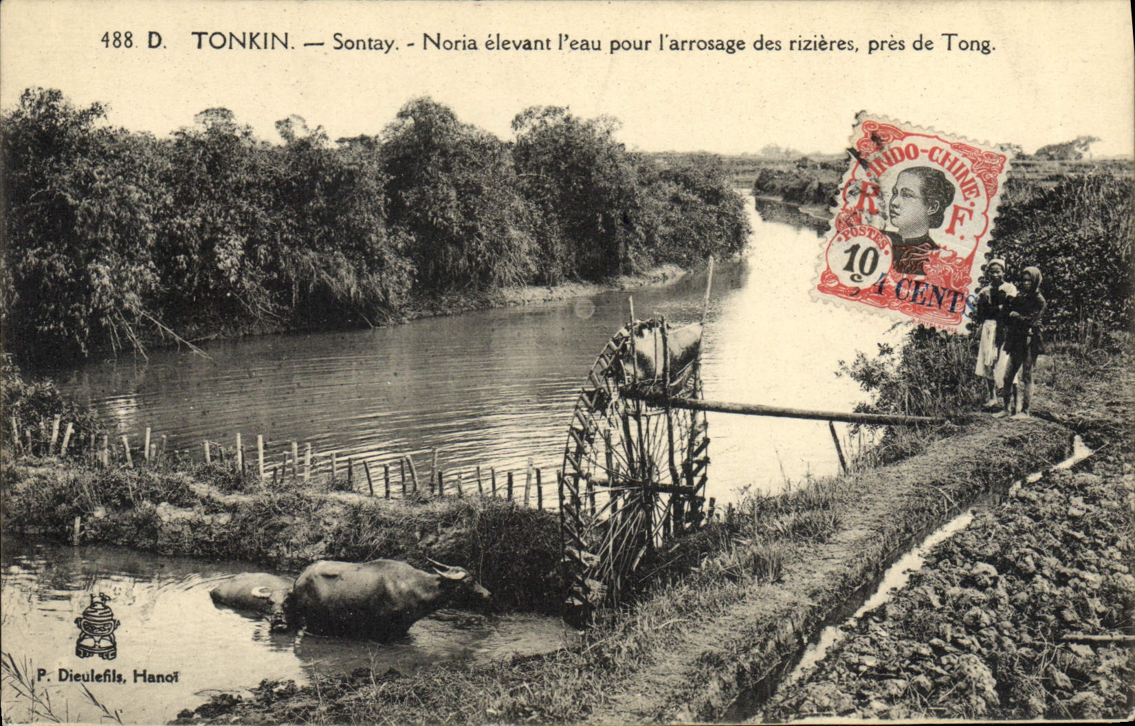 Noria de Tonkin Sontay de la POSTAL de la VENDIMIA que levanta el agua para el riego de las plantaciones cerca De Tong Vietnam Indochina del arroz