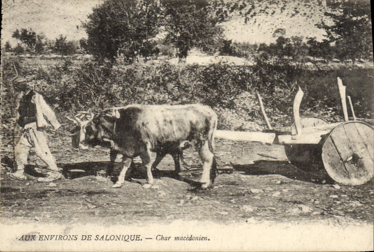 VINTAGE POSTCARD Around Salonique Tank Macedonian