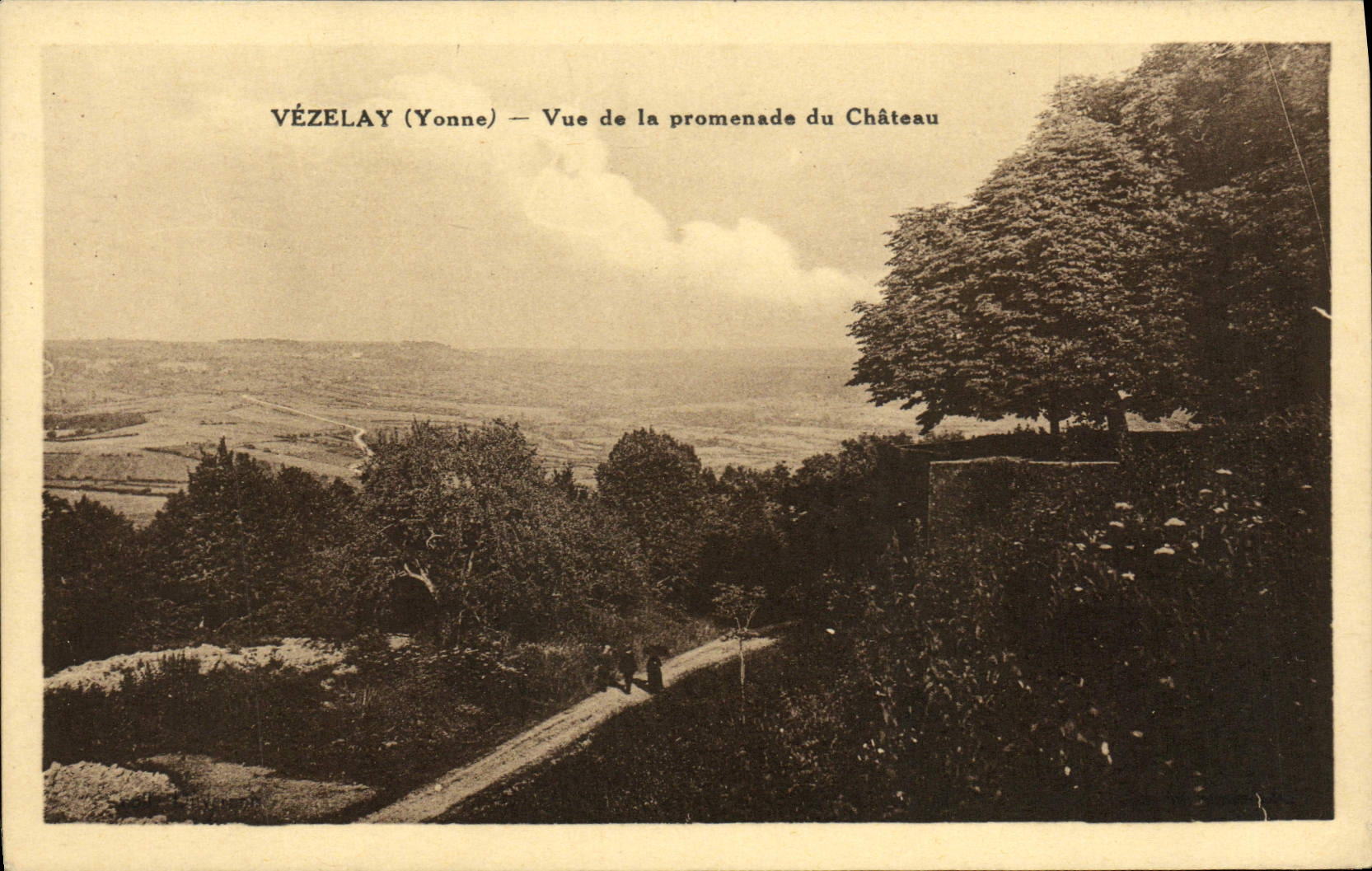 CPA Vezelay Vue De La Promenade Du Chateau