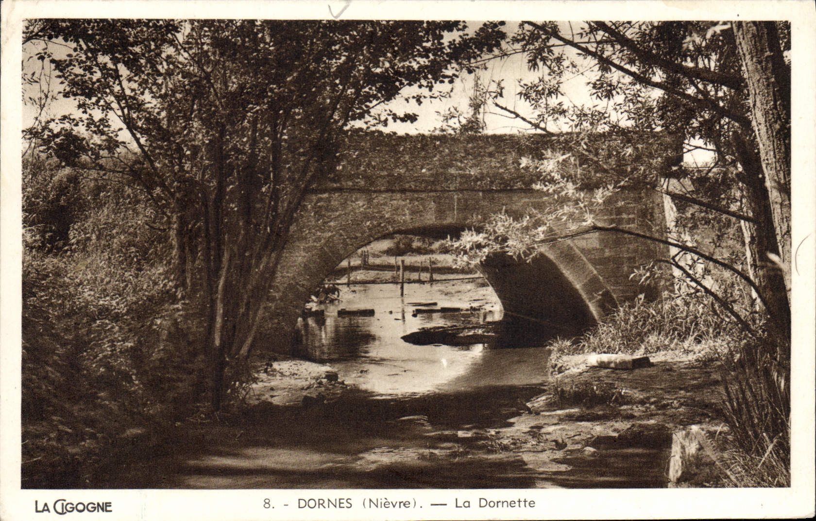 POSTAL Dornes Dornette de la VENDIMIA