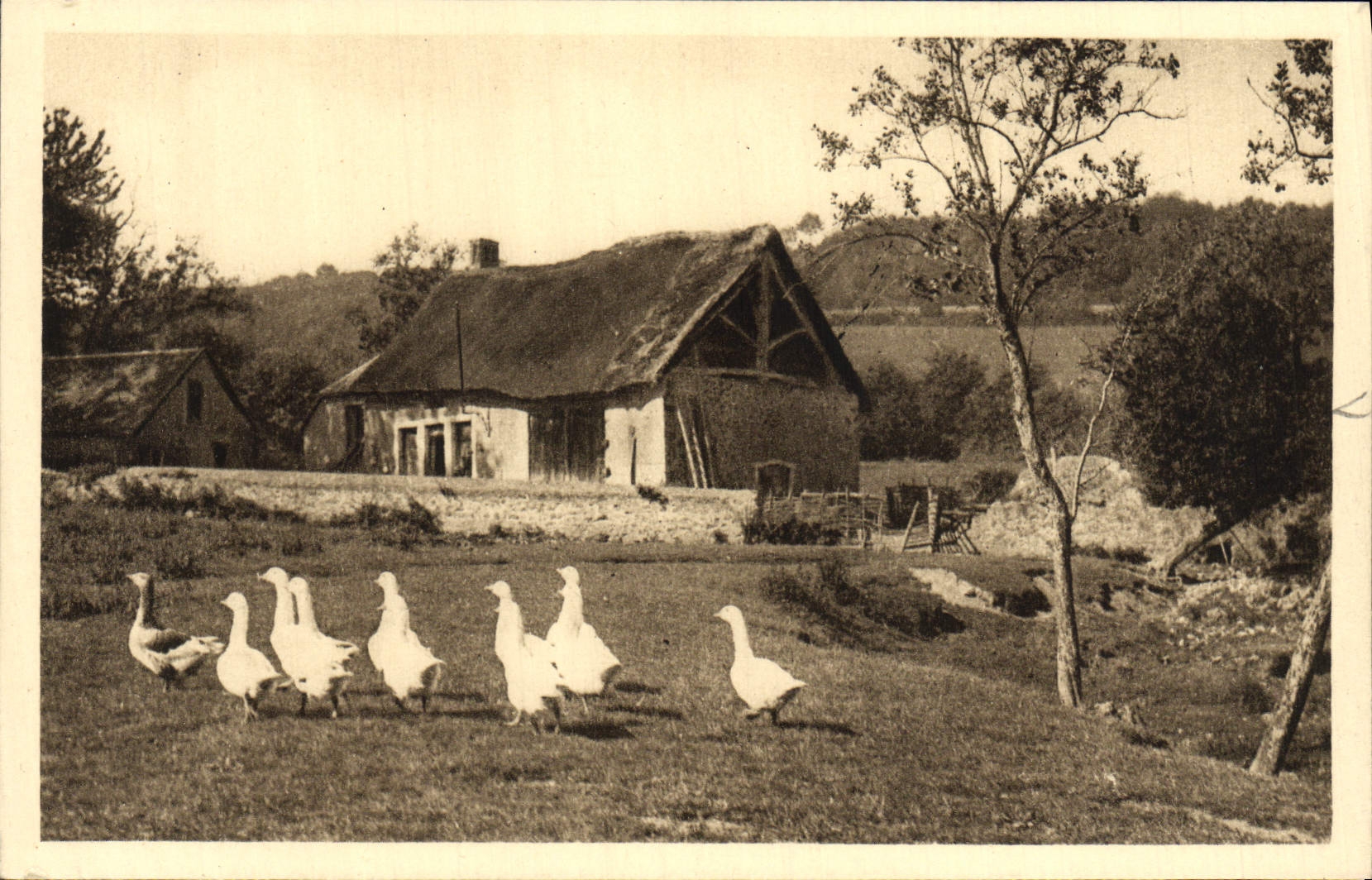 CPA En Morvan Chaumiere Morvandelle