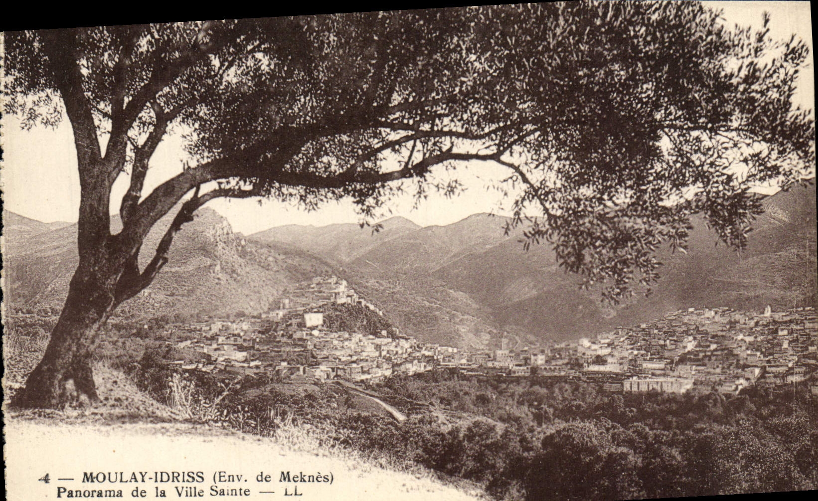 VINTAGE POSTCARD Moulay Idriss Panorama Of the Holy City