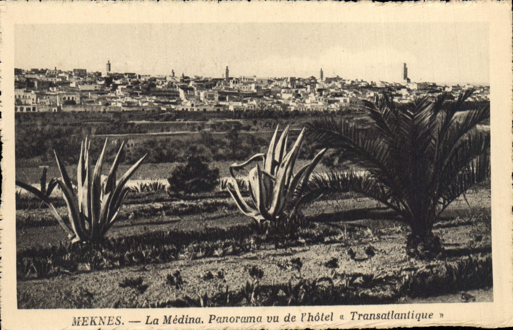 VINTAGE POSTCARD Meknes Medina Panorama Seen Of the Transatlantic Hotel