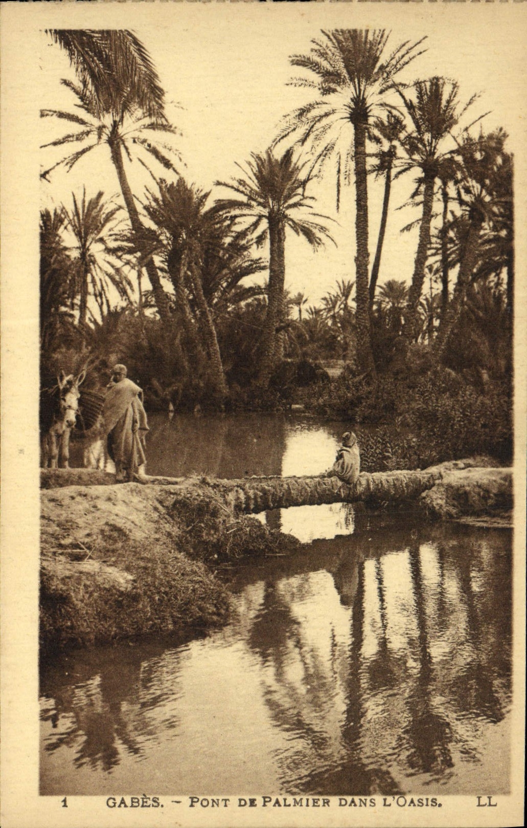 VINTAGE POSTCARD Gabes Bridge Of palm tree In the Oasis