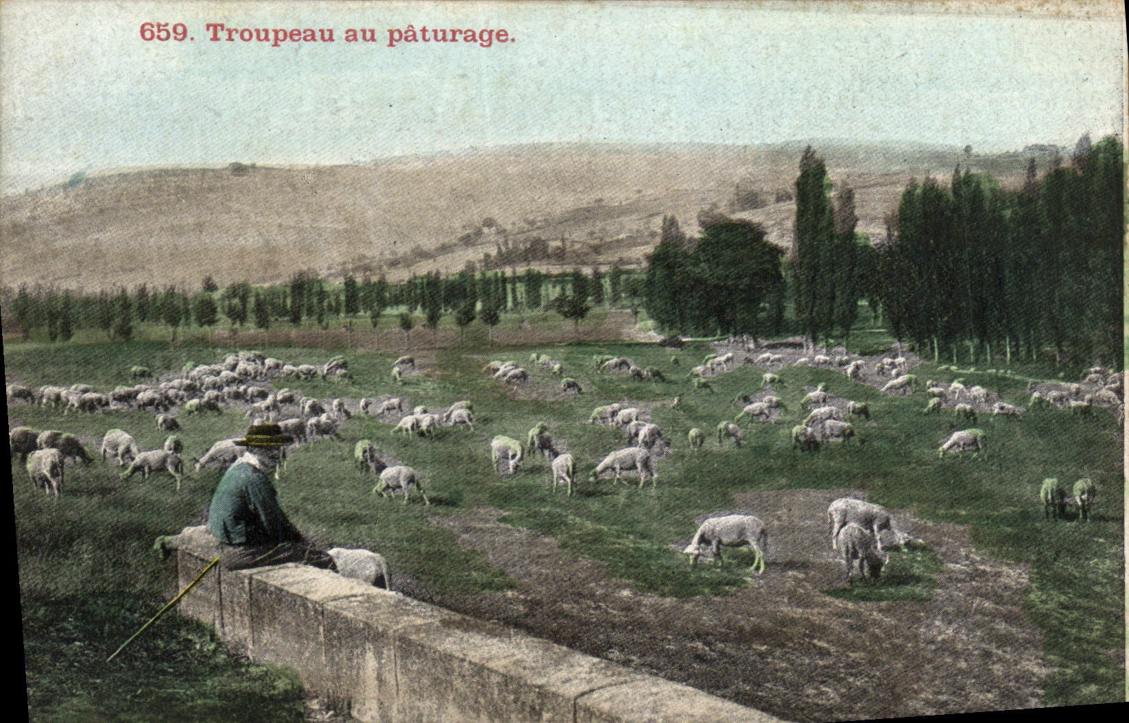 VINTAGE POSTCARD Herd With the Pasture Shepherd and sheep