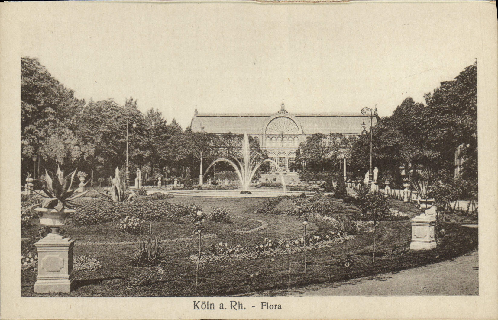 La POSTAL Koln de la VENDIMIA tiene flora el derecho