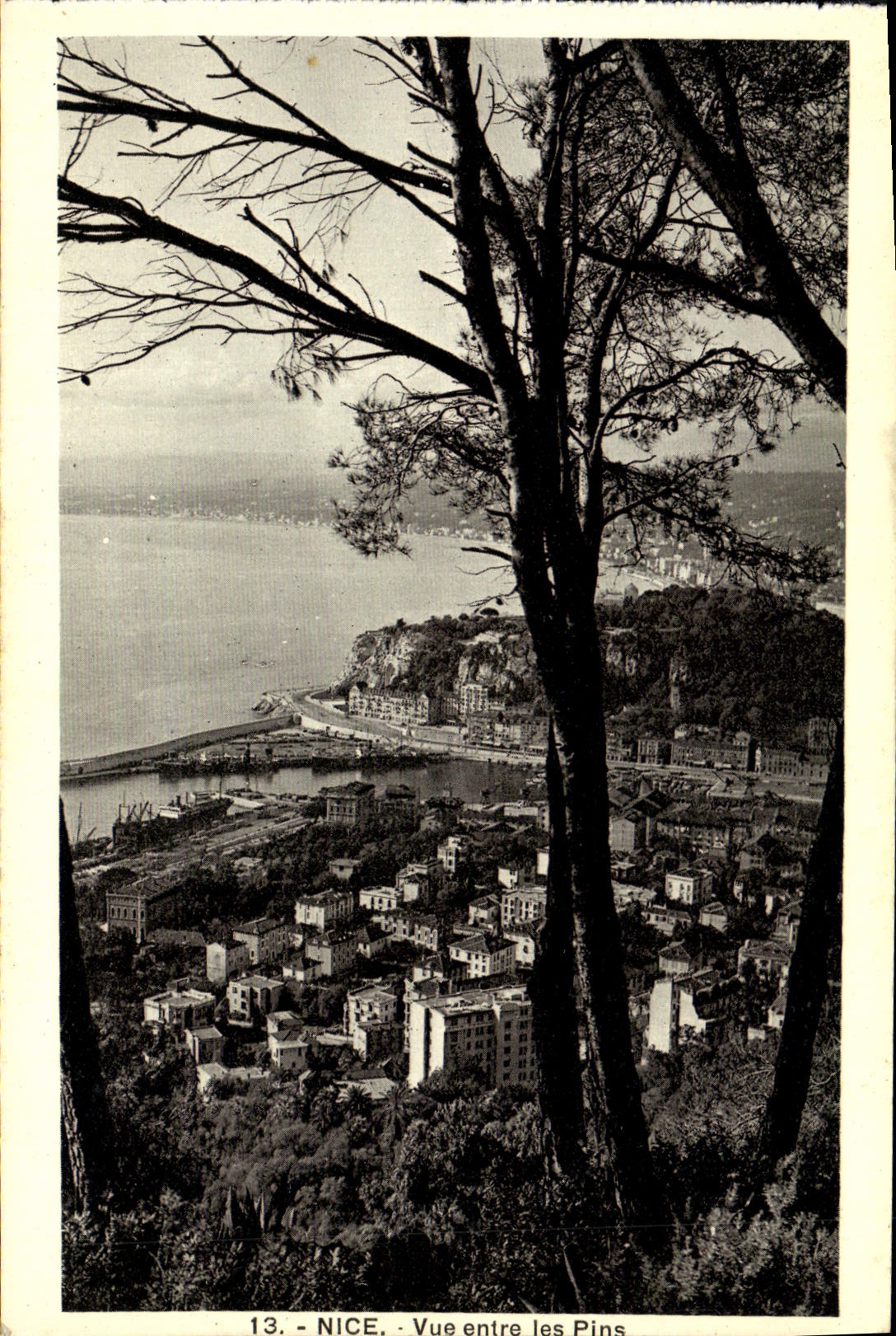 CPA Nice Vue Entre les Pins