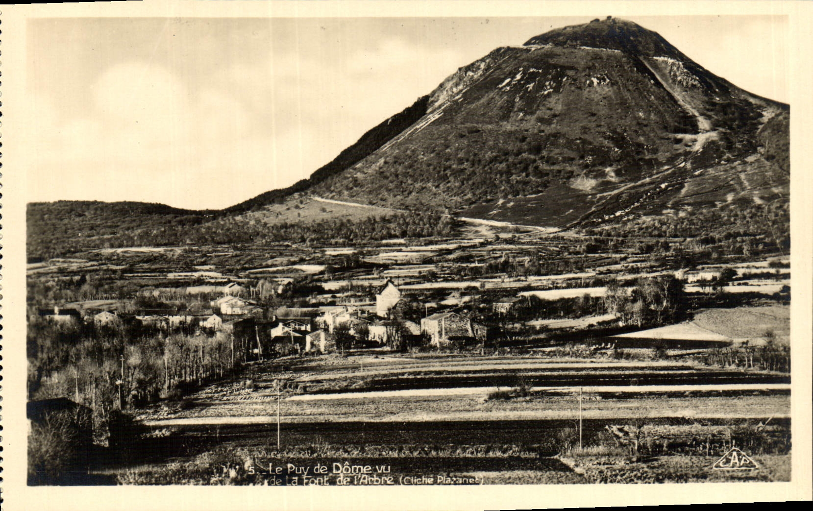 VINTAGE POSTCARD Puy de Dome seen of make tree