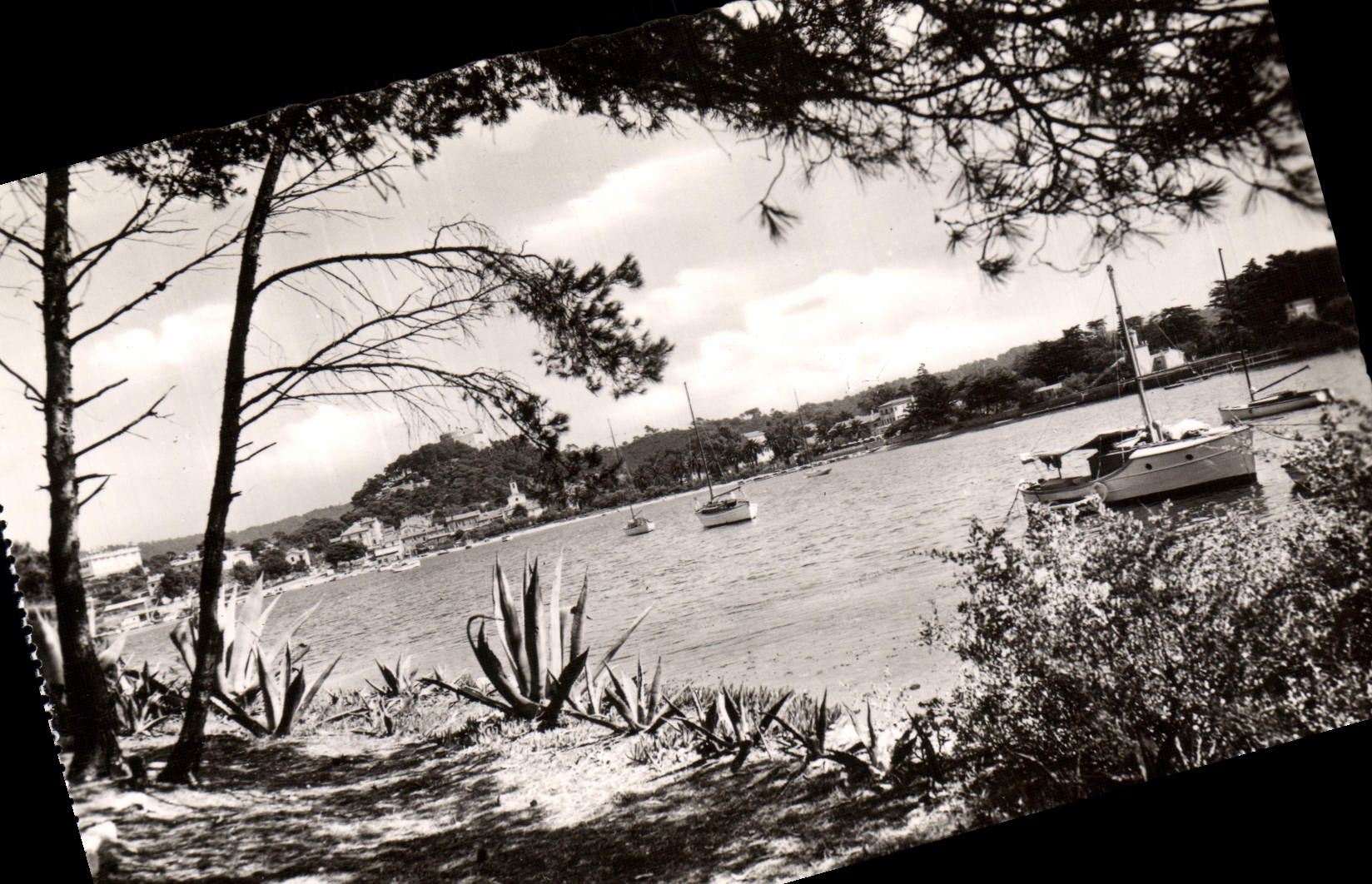 CPM Porquerolles Vue Sur le Port Bateau