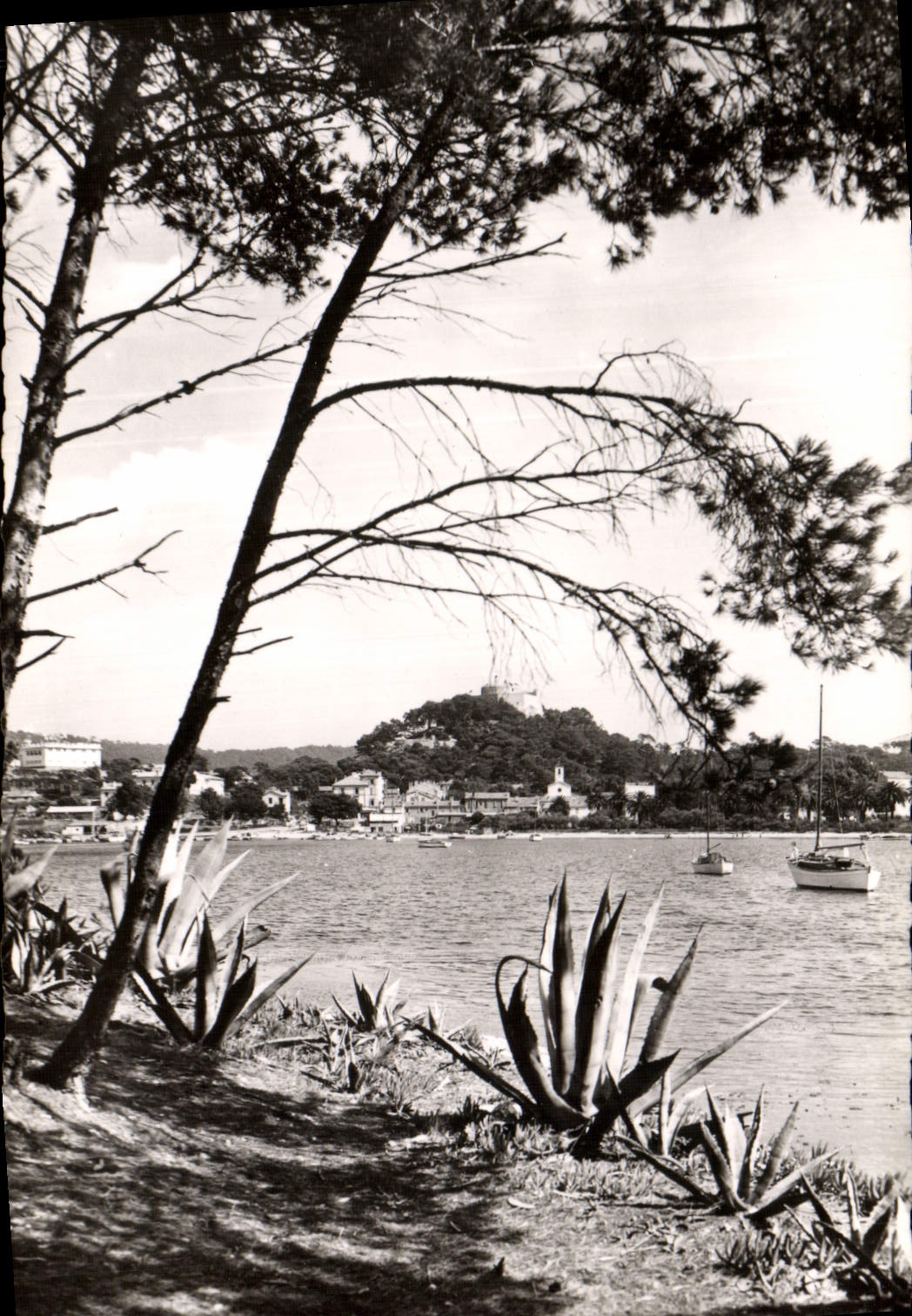 CPM Porquerolles Le Port