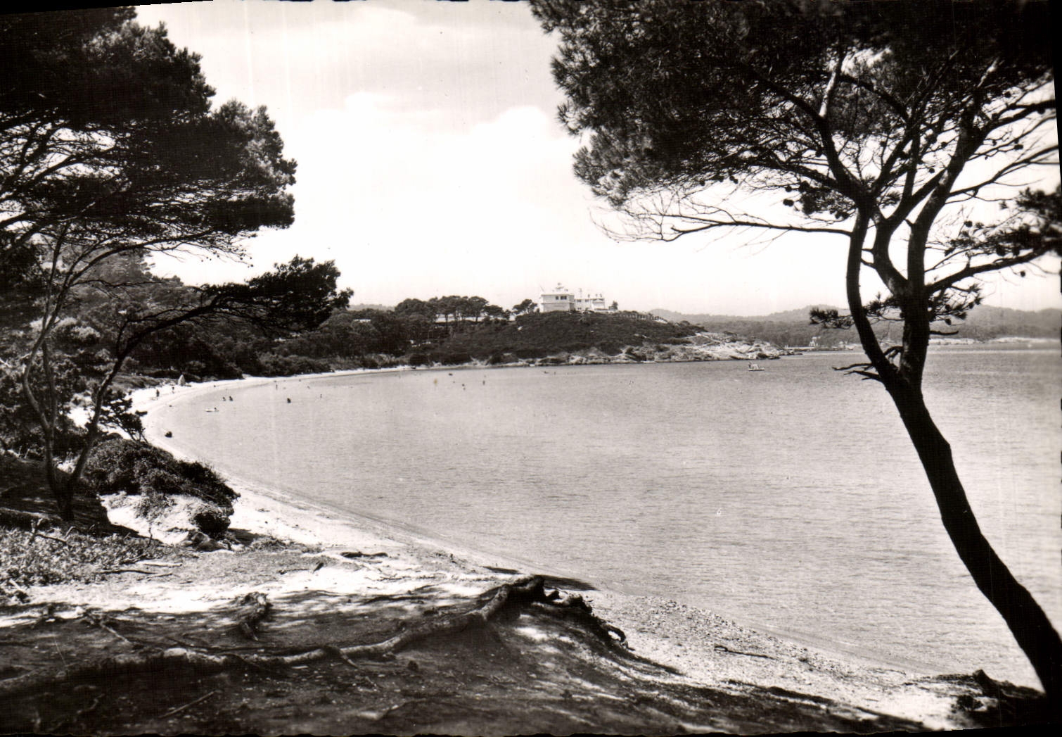 MODERN CARD Porquerolles Beach of Courtade