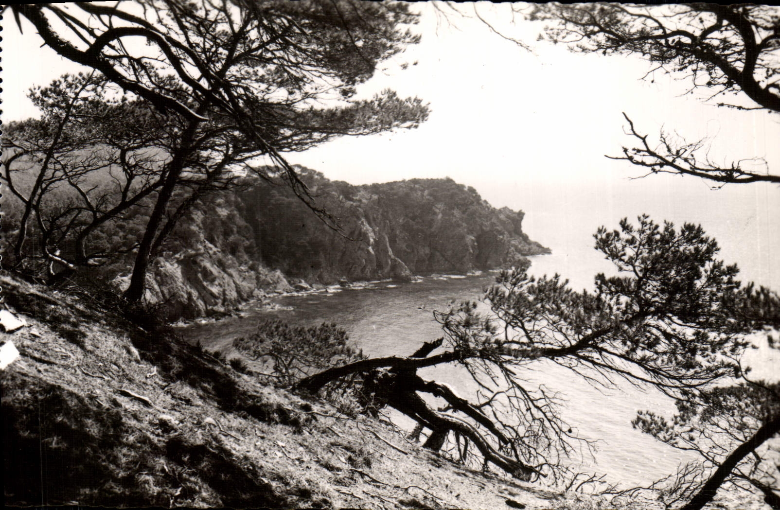 CPM Porquerolles Calonque de L'Oustaou de Diou