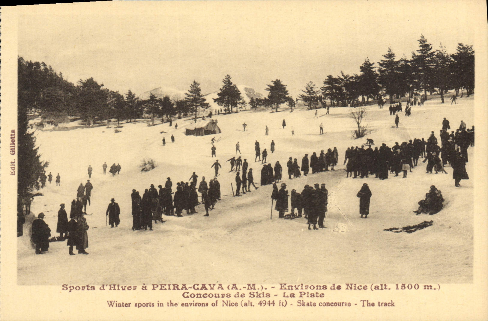 VINTAGE POSTCARD Peira Undermined Surroundings of Nice Concours of skis the track