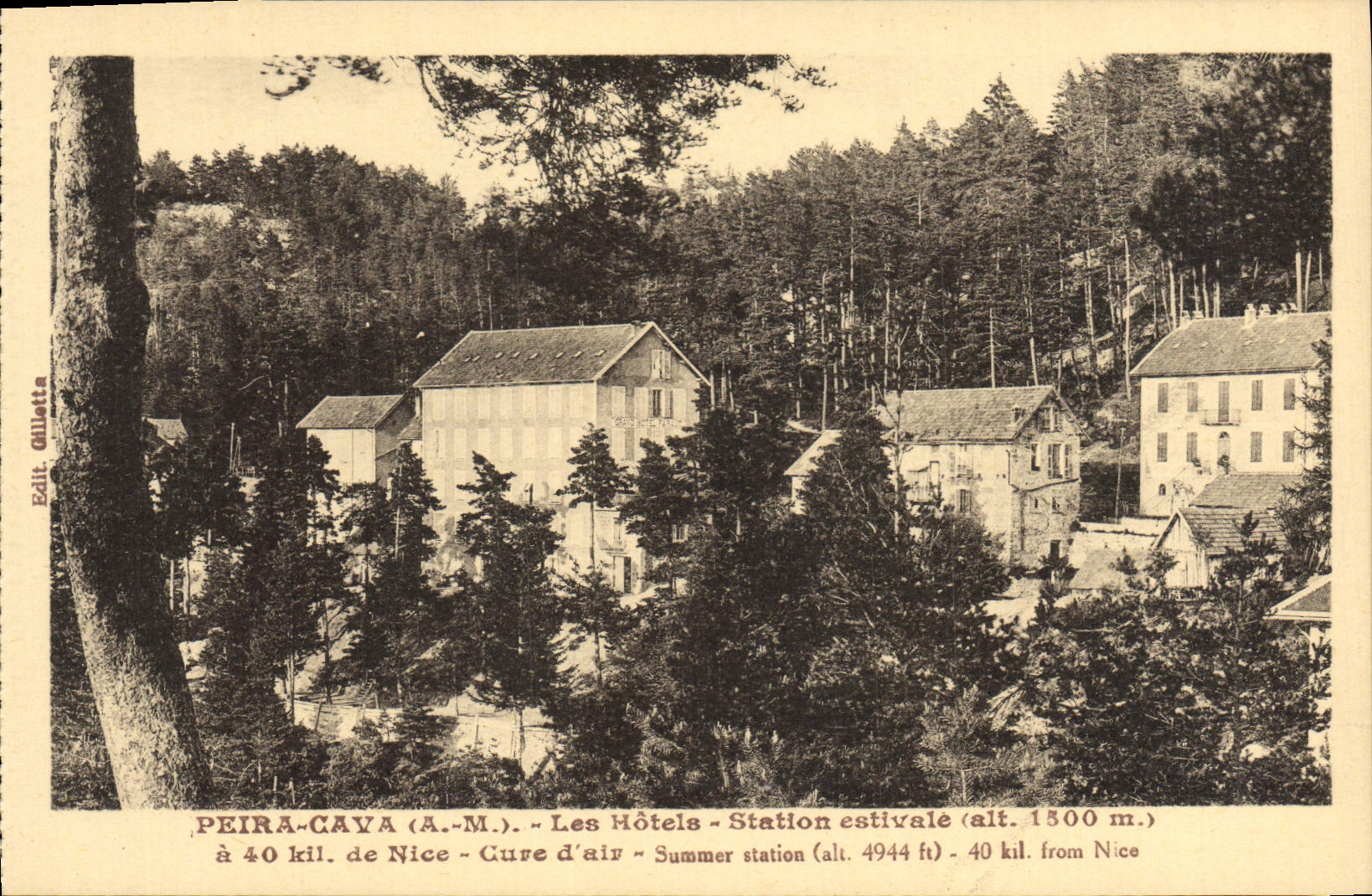 CPA Peira Cava Les Hotels Station estivale