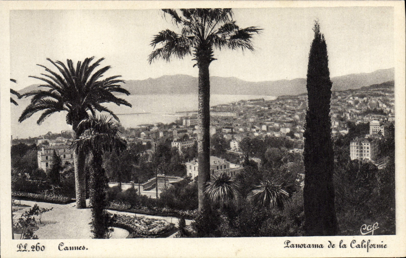 Panorama de Cannes de la POSTAL de la VENDIMIA de California