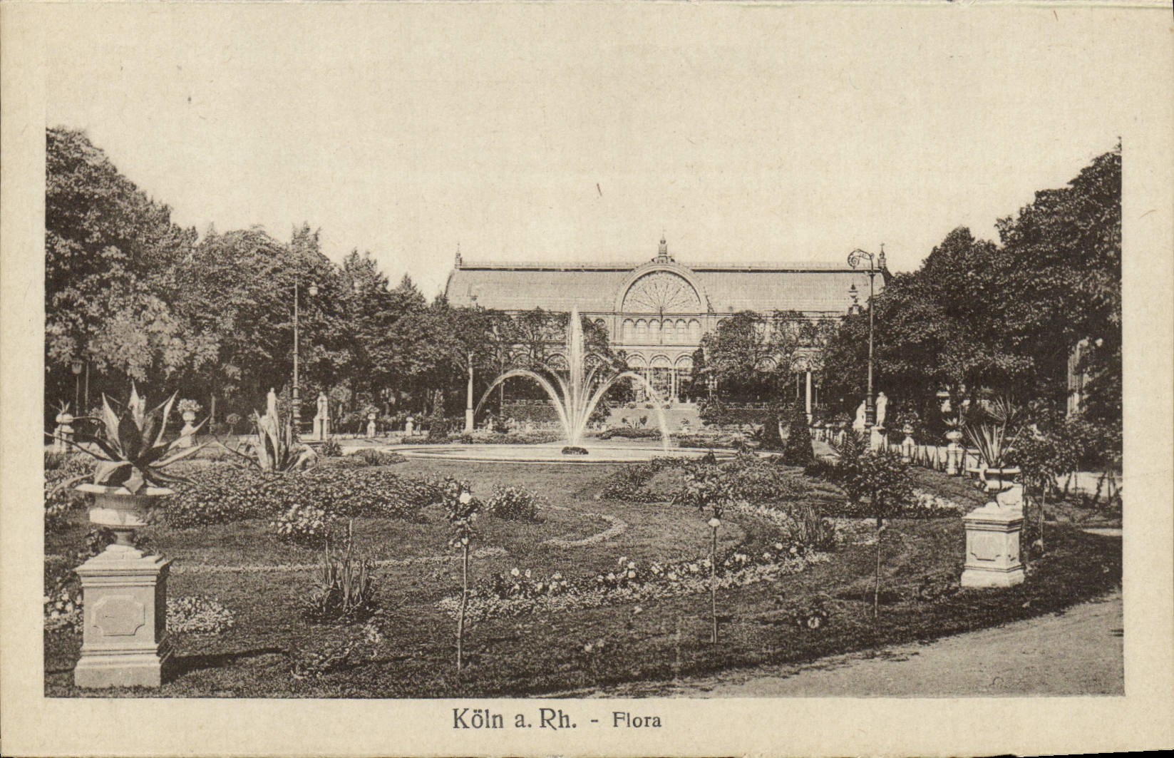 CPA Koln a Rh Flora