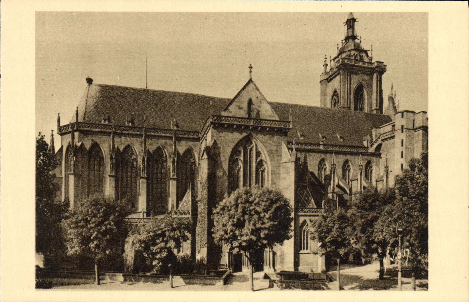 CPA Colmar La Cathedrale Saint Martin