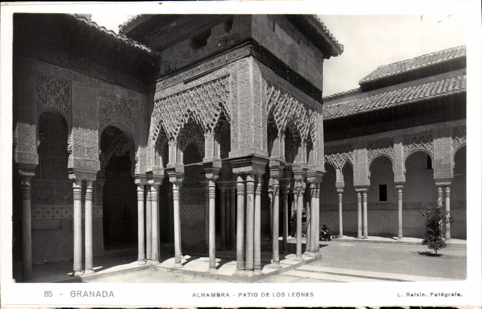 CPA Granada Alhambra Patio De Los Leones