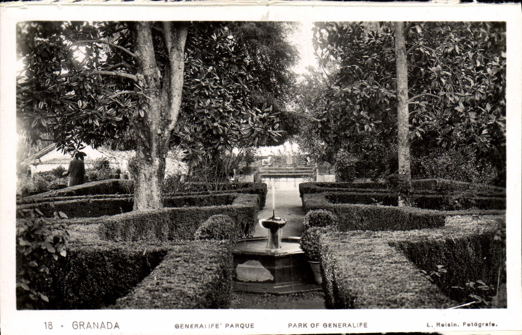 CPA Granada Generailfe Parque Park Of Generalife