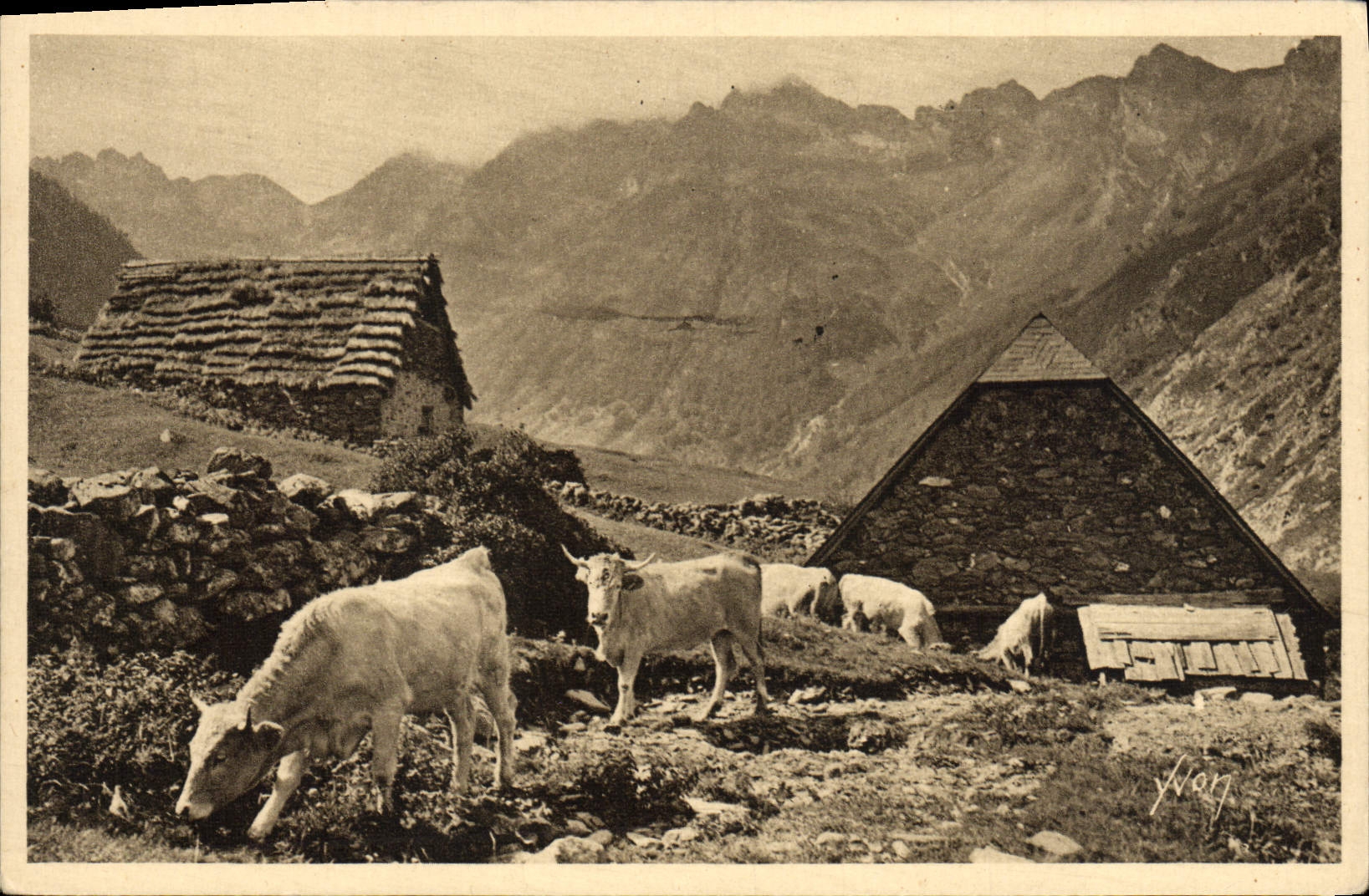CPA Le Lac D'Estaing Vaches
