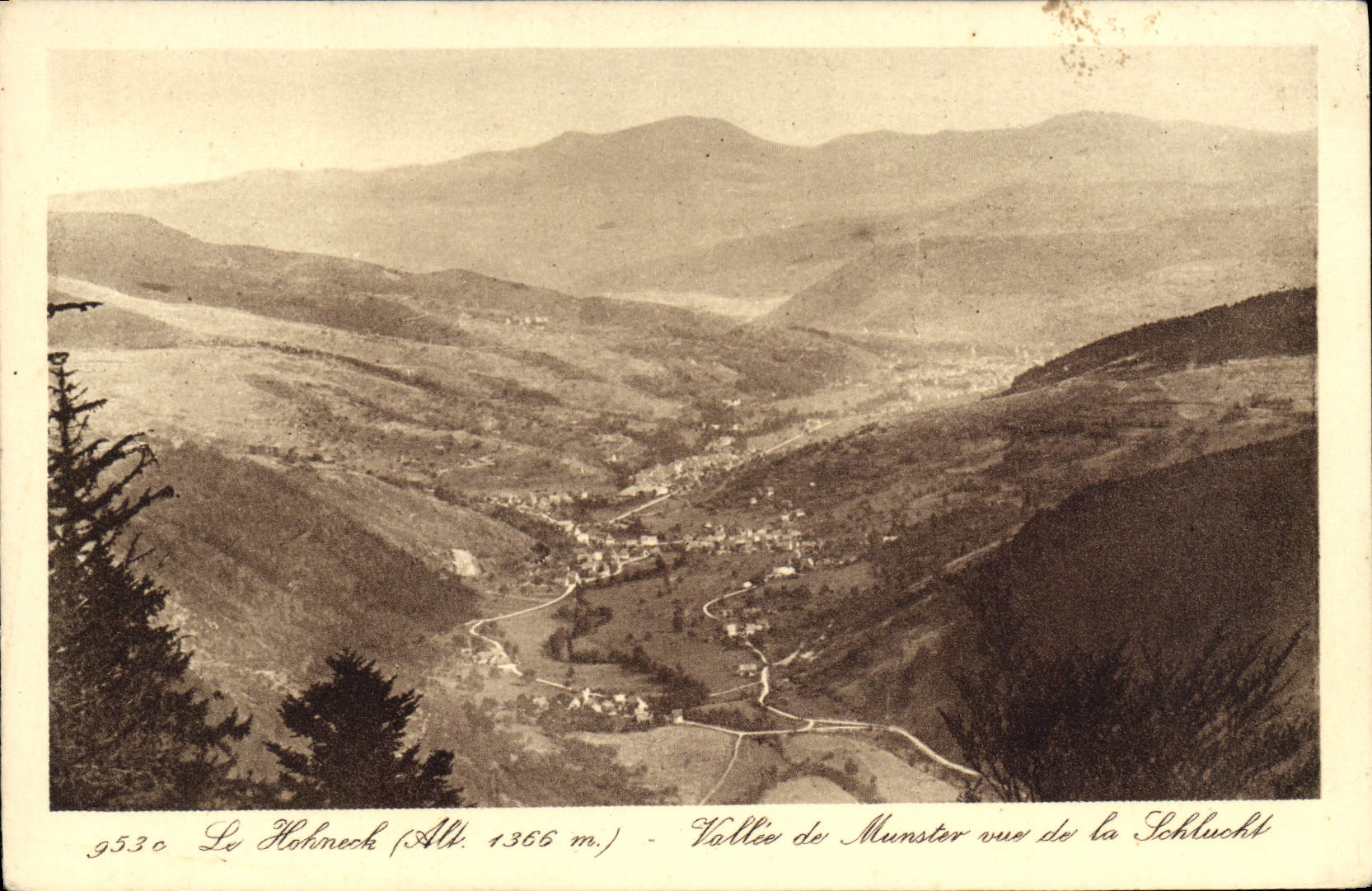 POSTAL Valle De Munster de la VENDIMIA visto de Schlucht