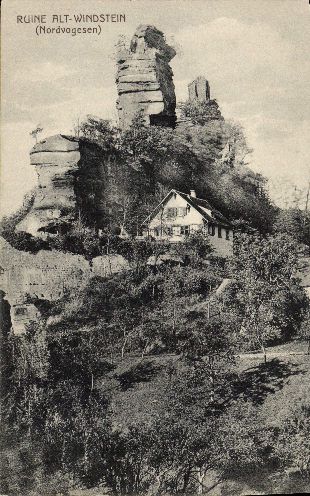VINTAGE POSTCARD Ruin Alt Windstein