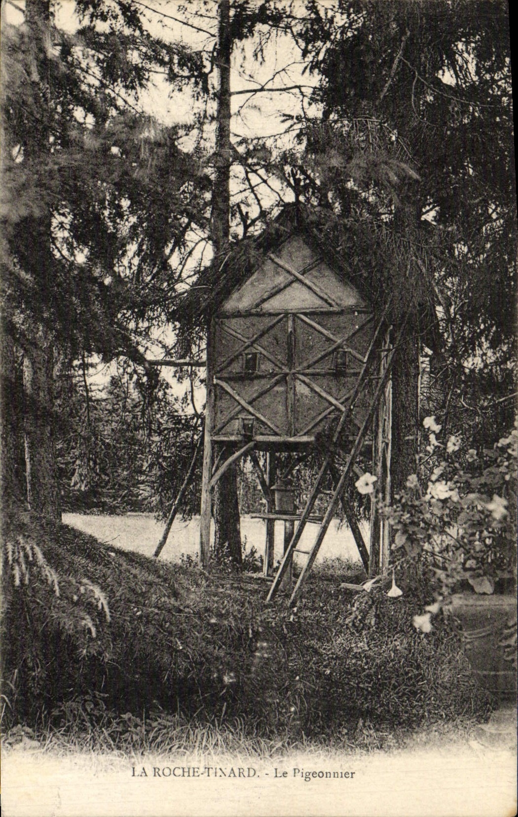 VINTAGE POSTCARD the Tinard Rock the Pigeon one