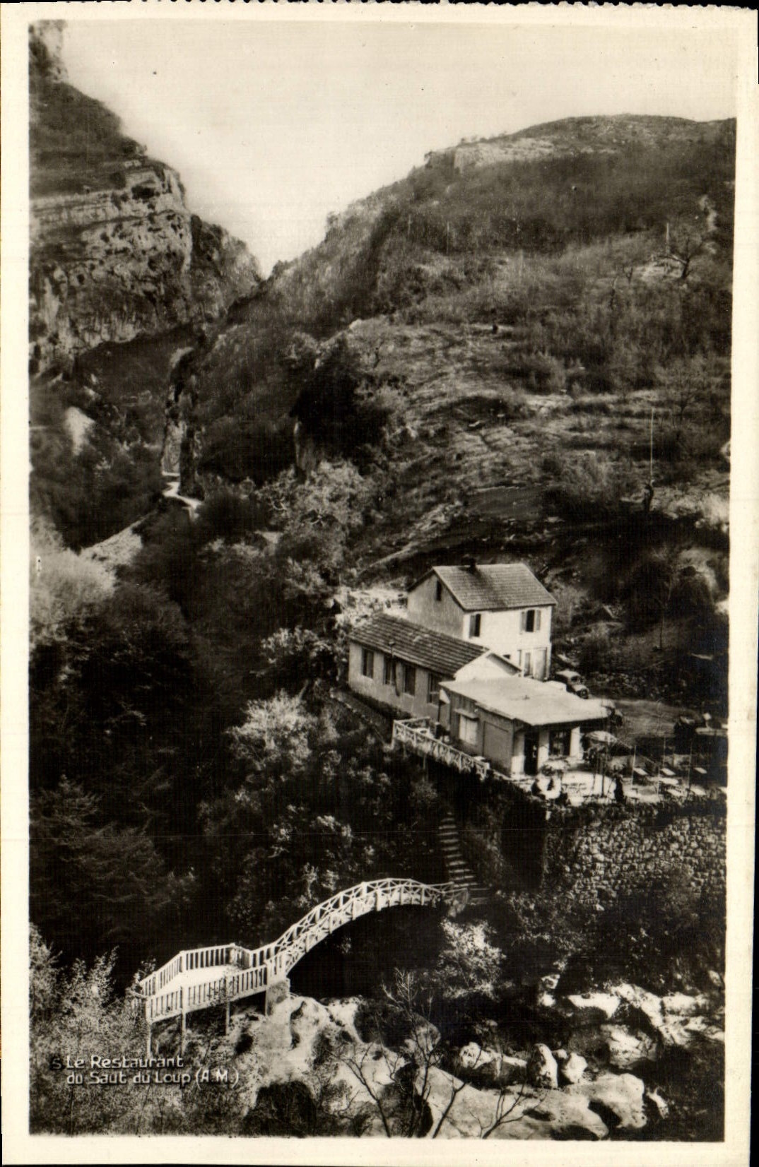 MODERN CARD the Restaurant Jump Of the Wolf