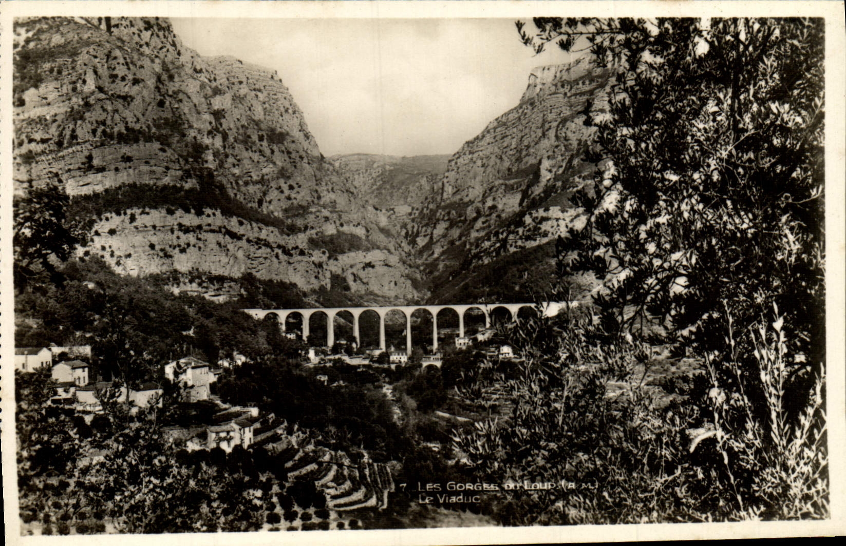 CPA Les Gorges Du Loup Le Viaduc